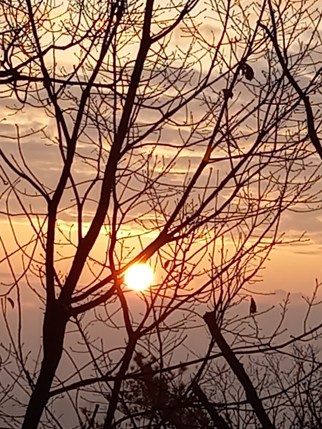 2000769928_9sRAKV1w_dc3191508358581ffbc74357f7c2c666523a464f.jpg 이미지크게보기