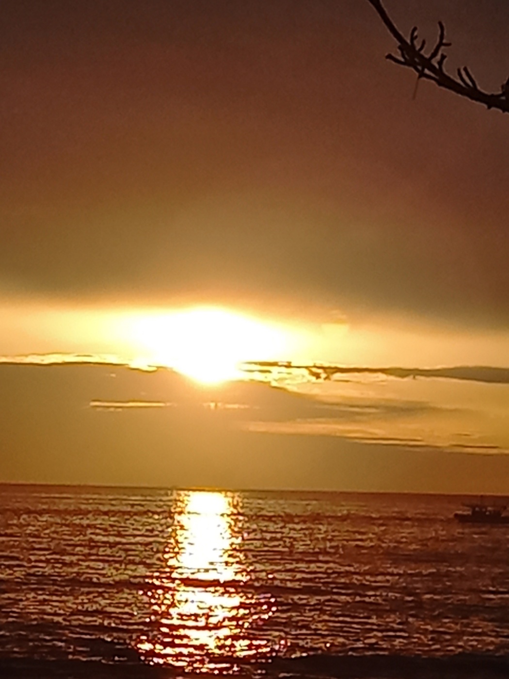 2000769928_NBS3sTxr_48e830ea7f006f07571750f9788e6a9db366cd1c.jpg 이미지크게보기